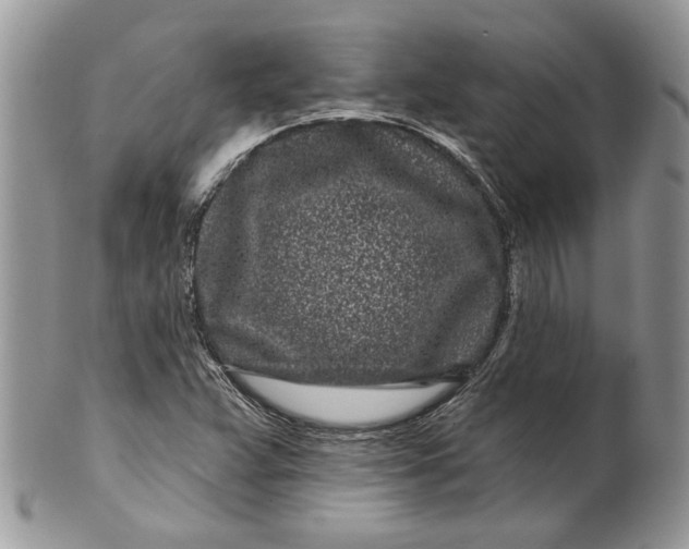 X0000099961359200806131500