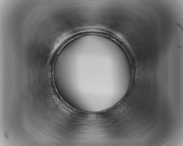X0000099961360200806131500