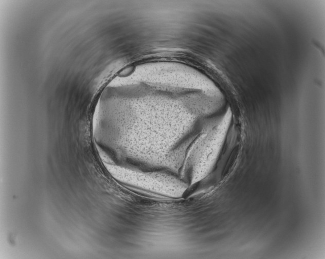 X0000099961362200806131500