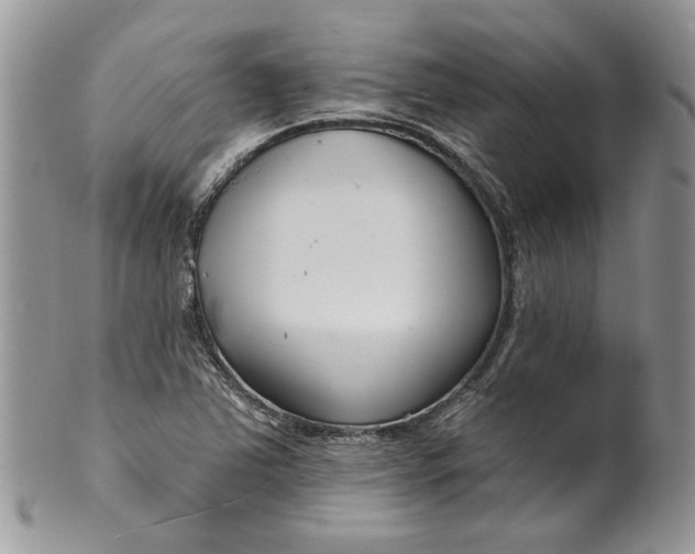 X0000099961363200806131500