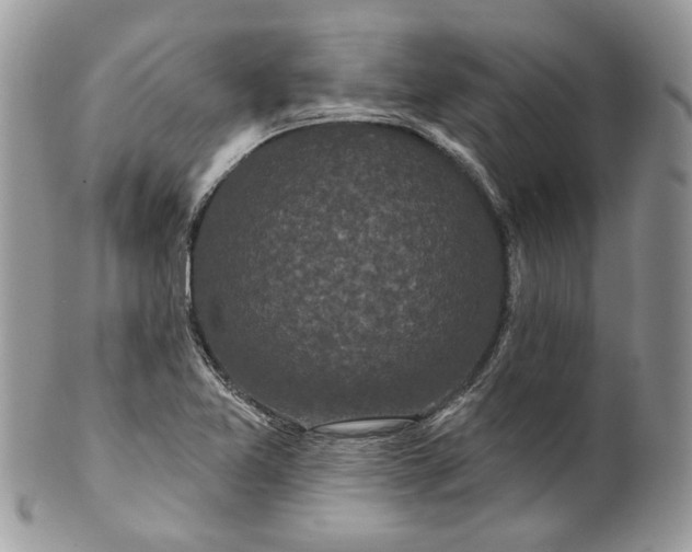 X0000099961365200806131500