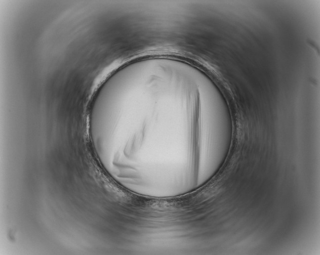 X0000099961366200806131500