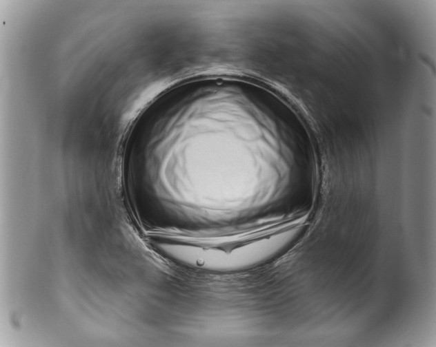 X0000099961367200806131500
