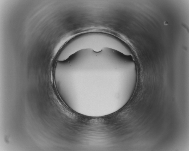 X0000099961368200806131500