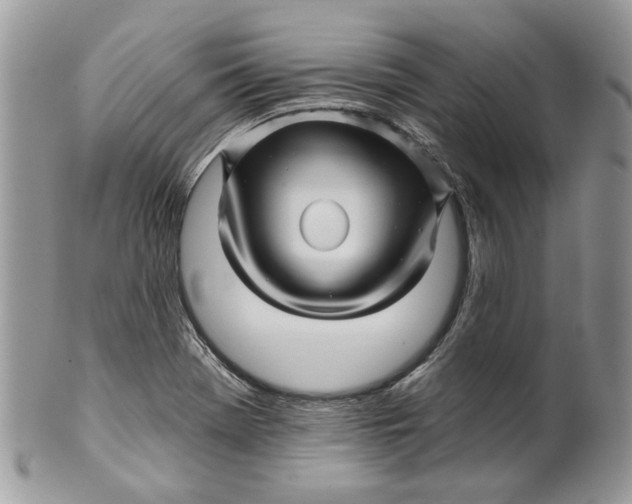 X0000099961369200806131500