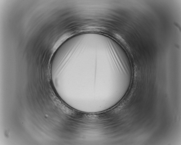 X0000099961370200806131500