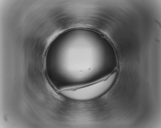X0000099961371200806131500
