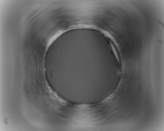 X0000099961373200806131500