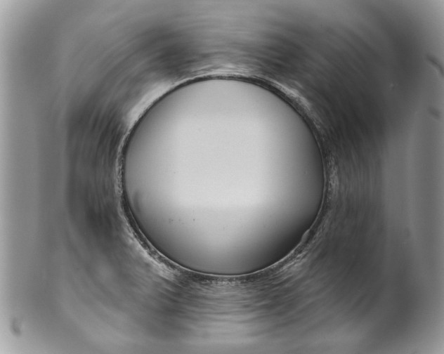 X0000099961375200806131500