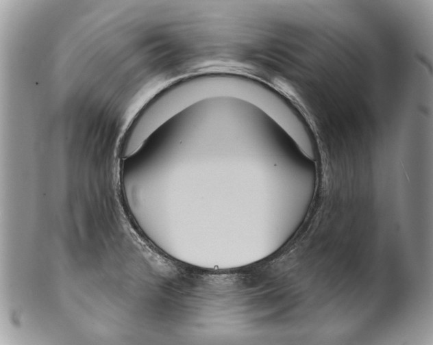 X0000099961376200806131500
