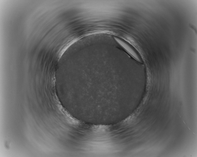 X0000099961377200806131500