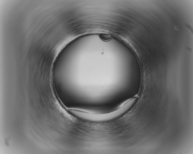 X0000099961379200806131500