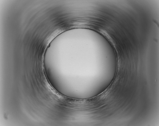 X0000099961386200806131500