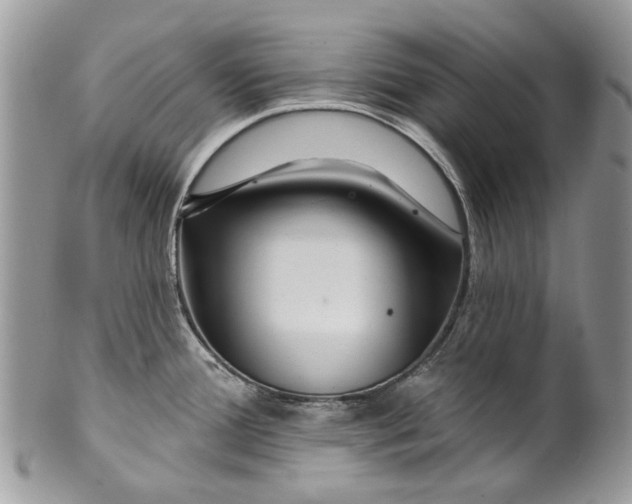 X0000099961388200806131500
