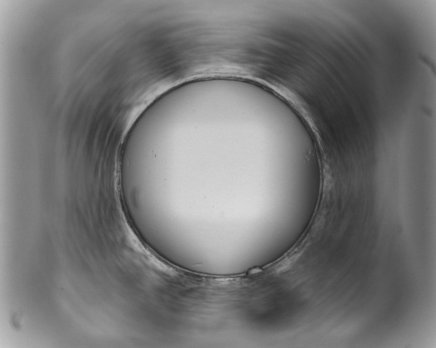 X0000099961390200806131500
