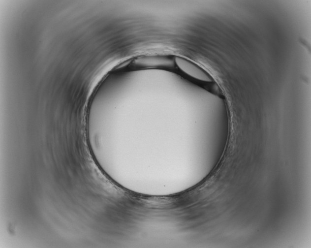 X0000099961392200806131500
