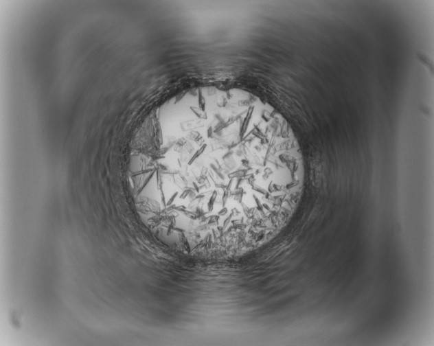 X0000099961393200806131459
