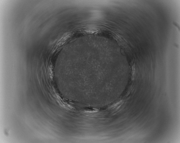 X0000099961394200806131459