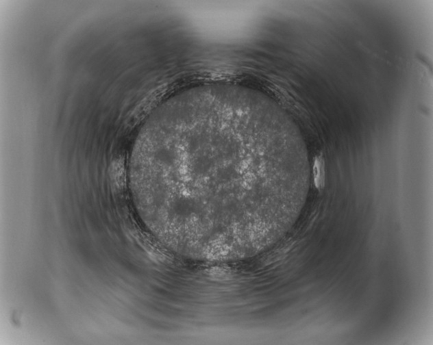 X0000099961395200806131459