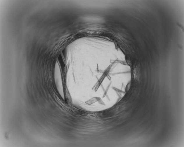 X0000099961396200806131459