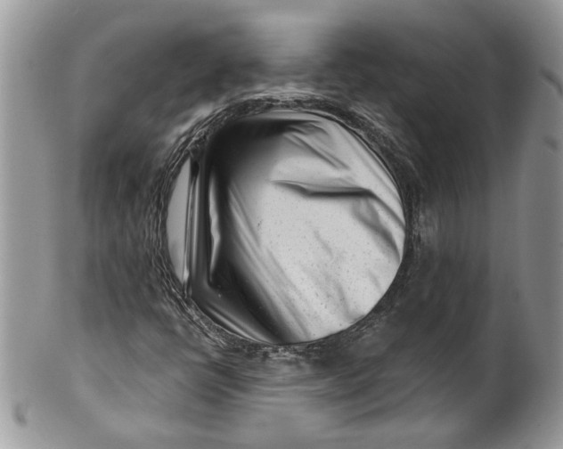 X0000099961398200806131459