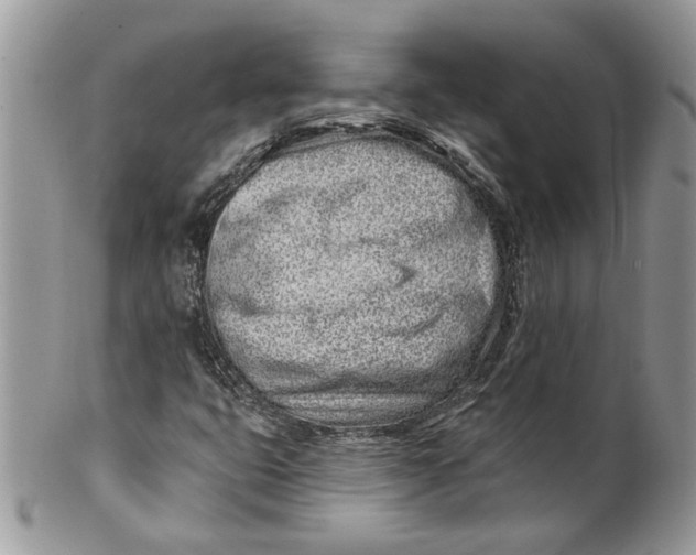 X0000099961399200806131459