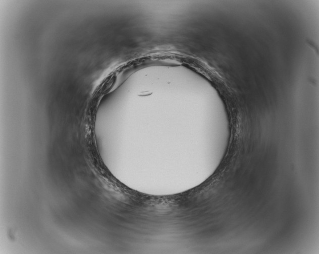 X0000099961400200806131459