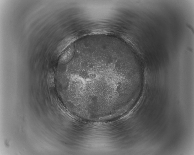 X0000099961401200806131459