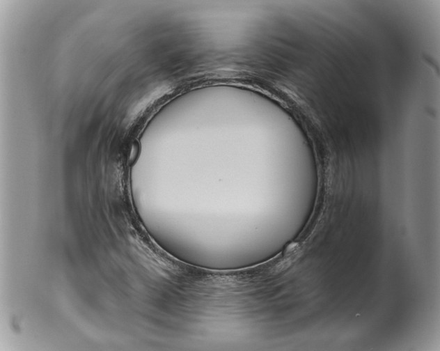X0000099961402200806131459