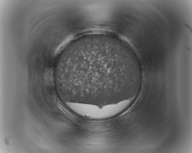 X0000099961403200806131459