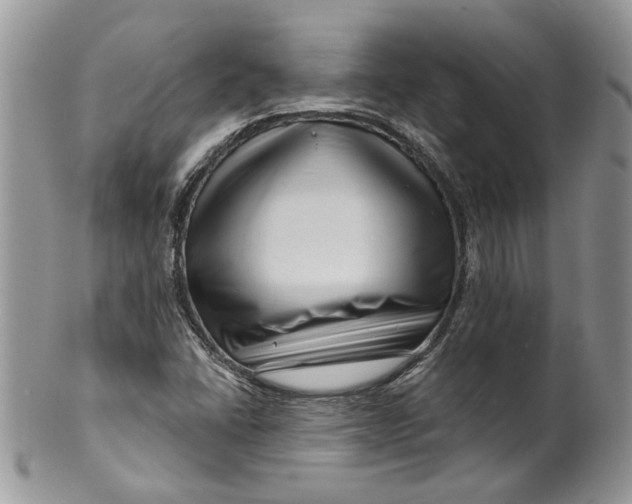 X0000099961406200806131459