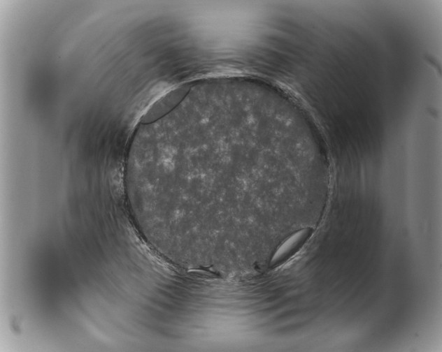 X0000099961409200806131459