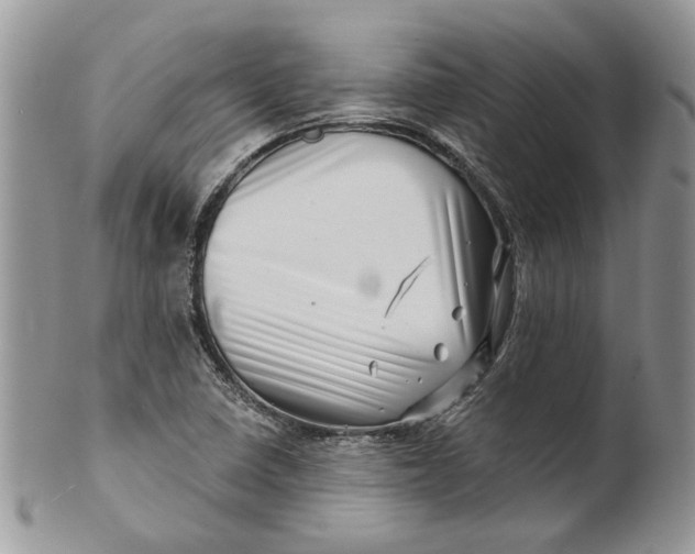 X0000099961410200806131459