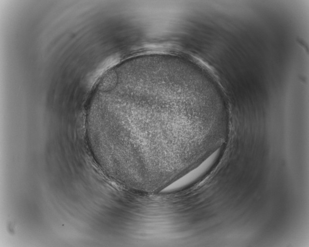 X0000099961411200806131459