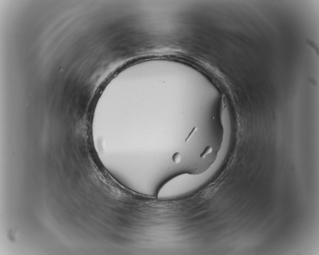 X0000099961412200806131459