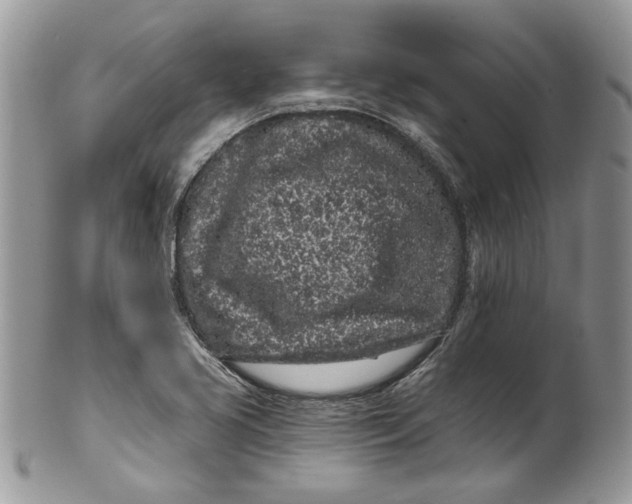 X0000099961413200806131459