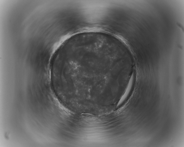 X0000099961414200806131459