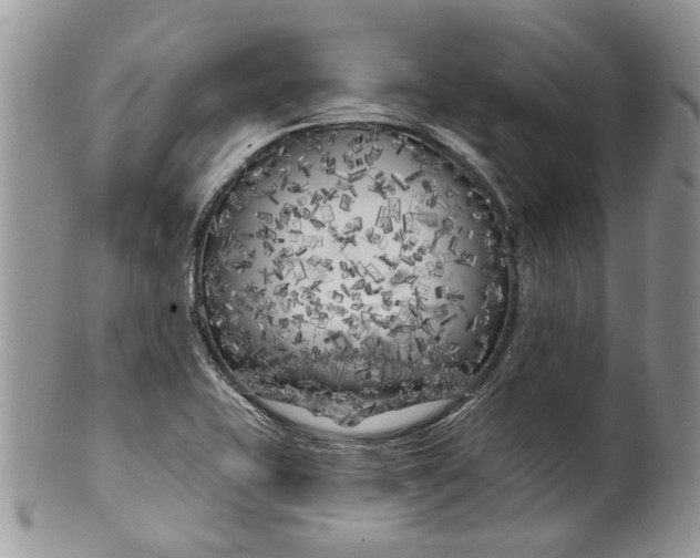 X0000099961415200806131459