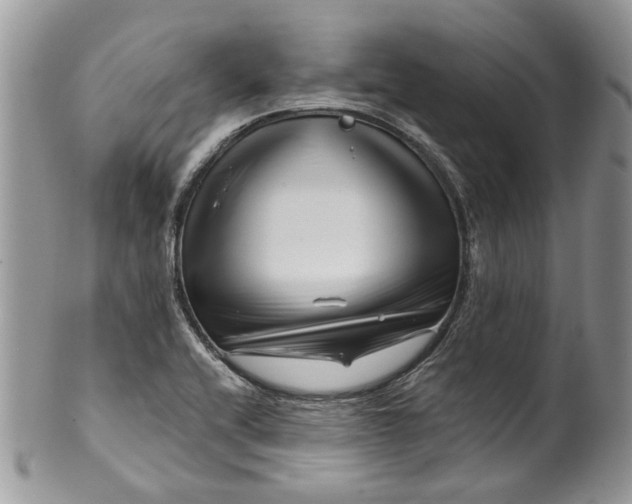 X0000099961416200806131459