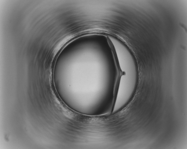 X0000099961418200806131459