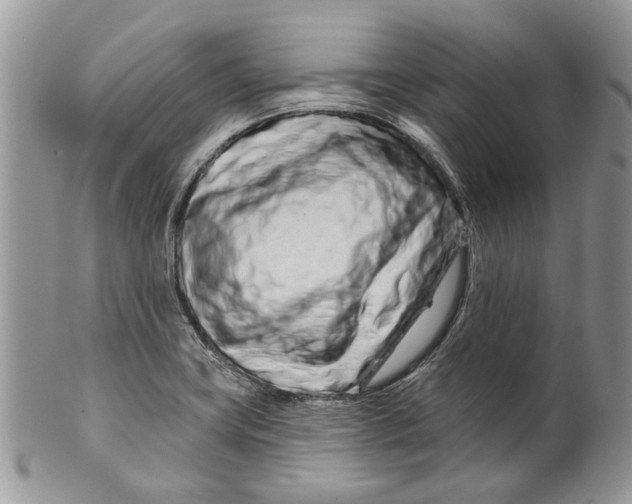 X0000099961419200806131459