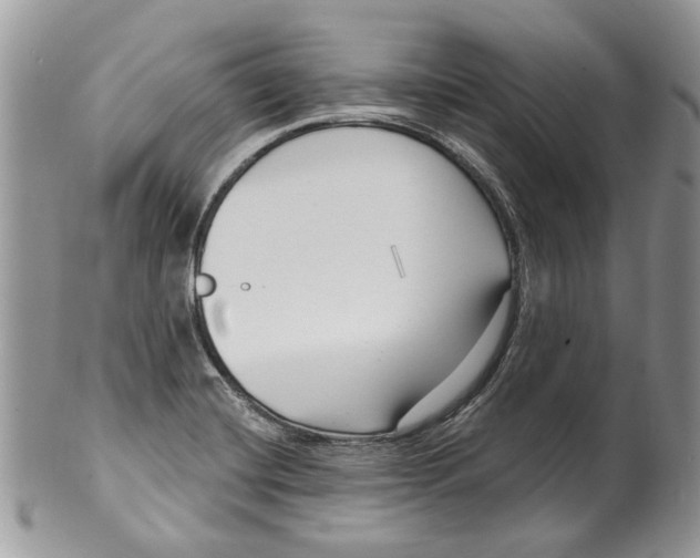 X0000099961420200806131459