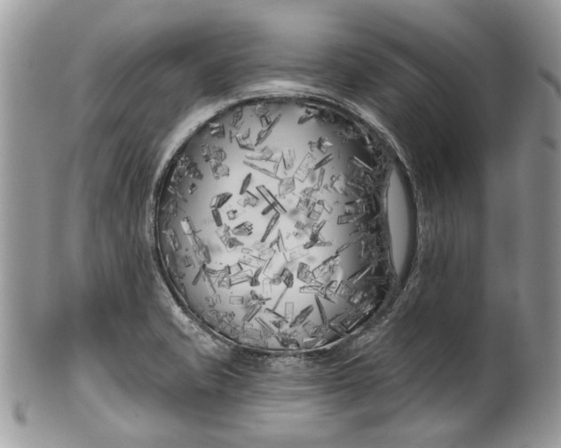 X0000099961421200806131459