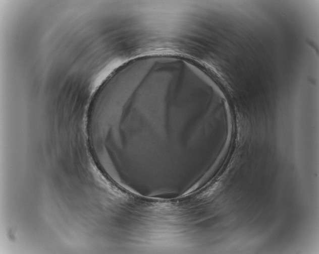 X0000099961422200806131459