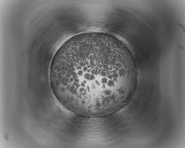 X0000099961423200806131459
