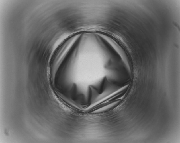 X0000099961424200806131459