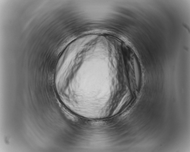 X0000099961425200806131459