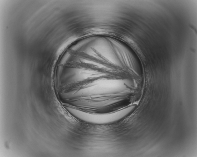 X0000099961427200806131459