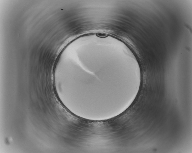 X0000099961428200806131459
