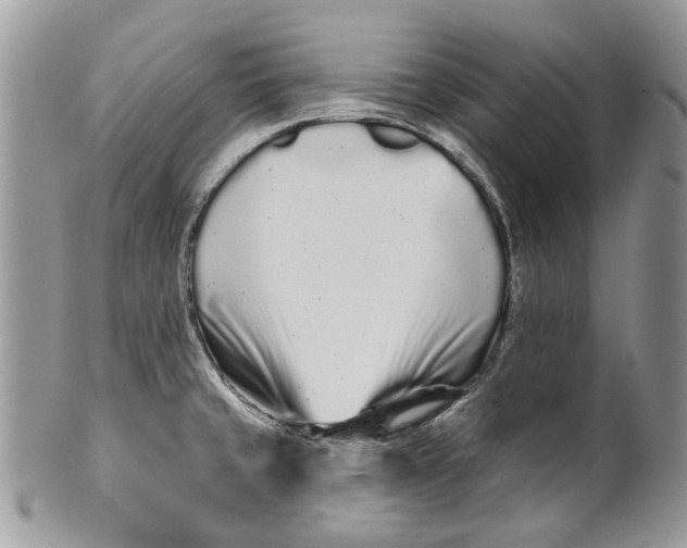 X0000099961429200806131459